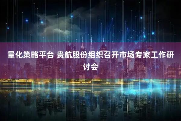 量化策略平台 贵航股份组织召开市场专家工作研讨会