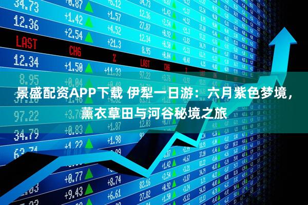 景盛配资APP下载 伊犁一日游：六月紫色梦境，薰衣草田与河谷秘境之旅