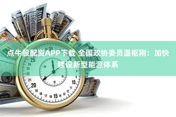 点牛股配资APP下载 全国政协委员温枢刚：加快建设新型能源体系